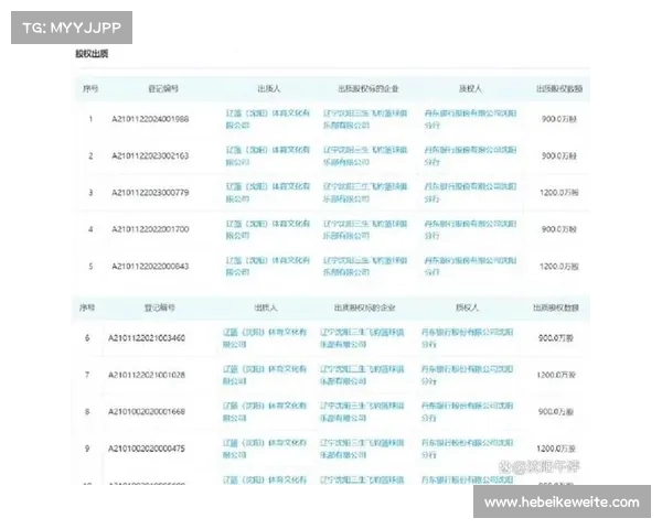 辽宁股权质押引资金担忧:CBA自由市场开启风险分析 辽宁股权质押引资金担忧:CBA自由市场开启风险分析